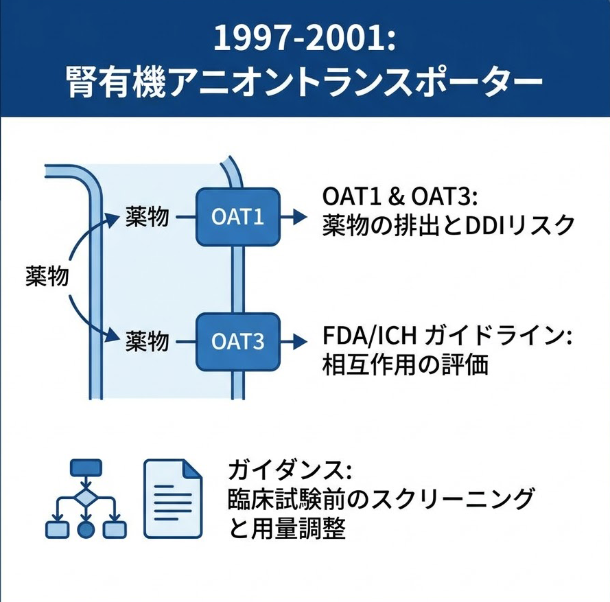 腎有機アニオントランスポーター（OAT1／OAT3）の模式図